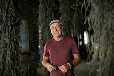 Mark Ponchak, a lavender farmer in McConnellsville, OH, with his drying lavender in the attic of his brotherâs brewery on November 6, 2023.